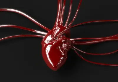 piero anversa lancet retraction